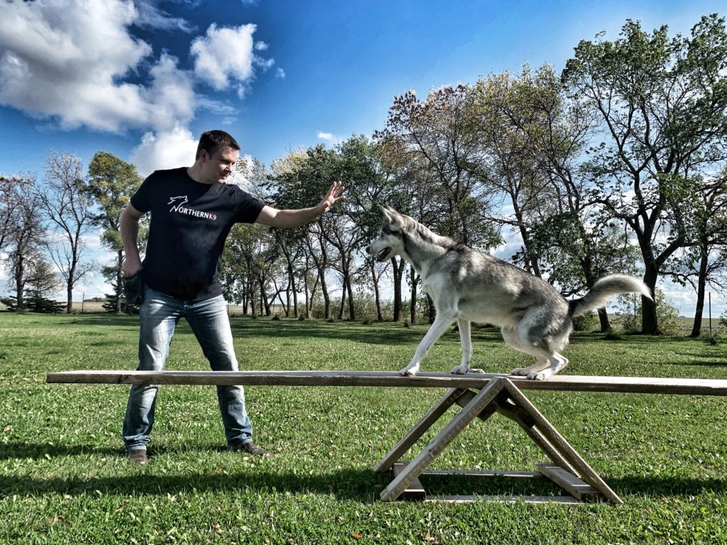 Northern K9 Dog Training and Boarding